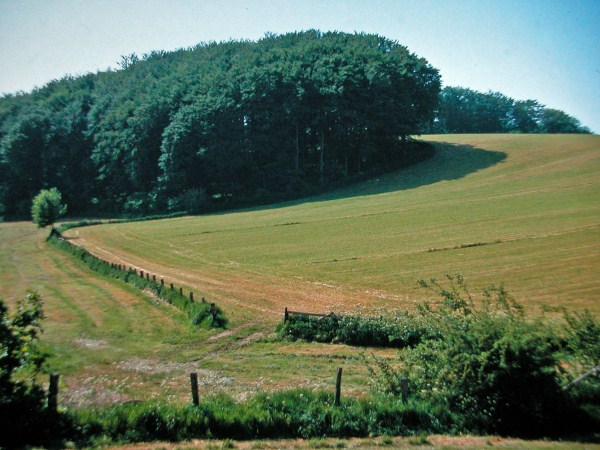 Wandern mit dem Schützen- und Sportbund Köhn